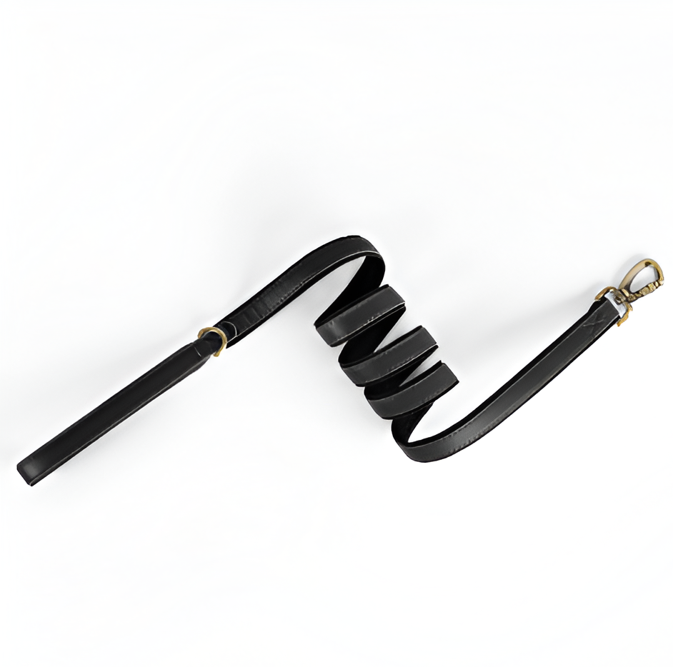 QuickFit Leather Leash