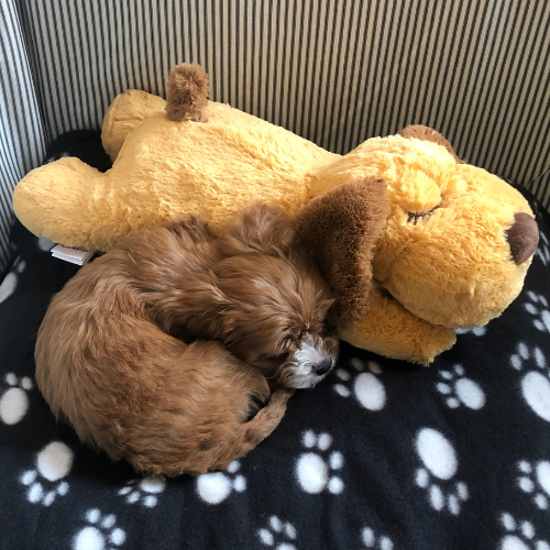 Heartbeat Calming Plush