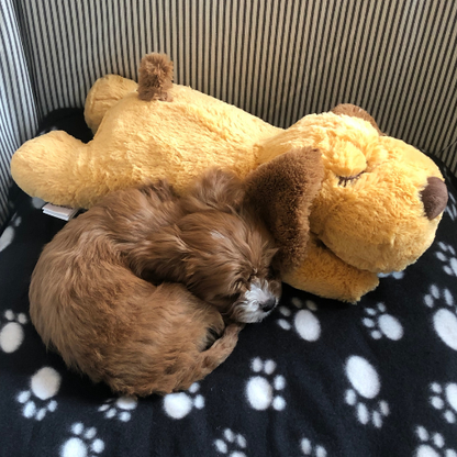 Heartbeat Calming Plush
