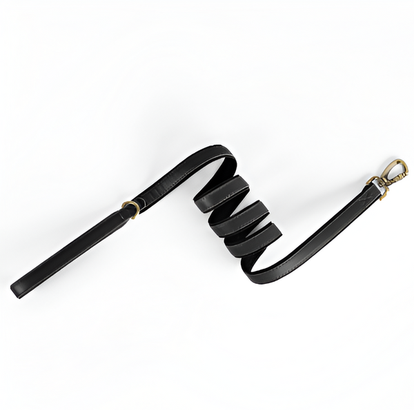 QuickFit Leather Leash