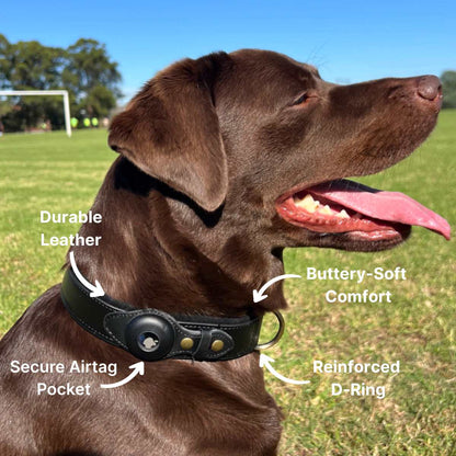 QuickFit Airtag Dog Collar